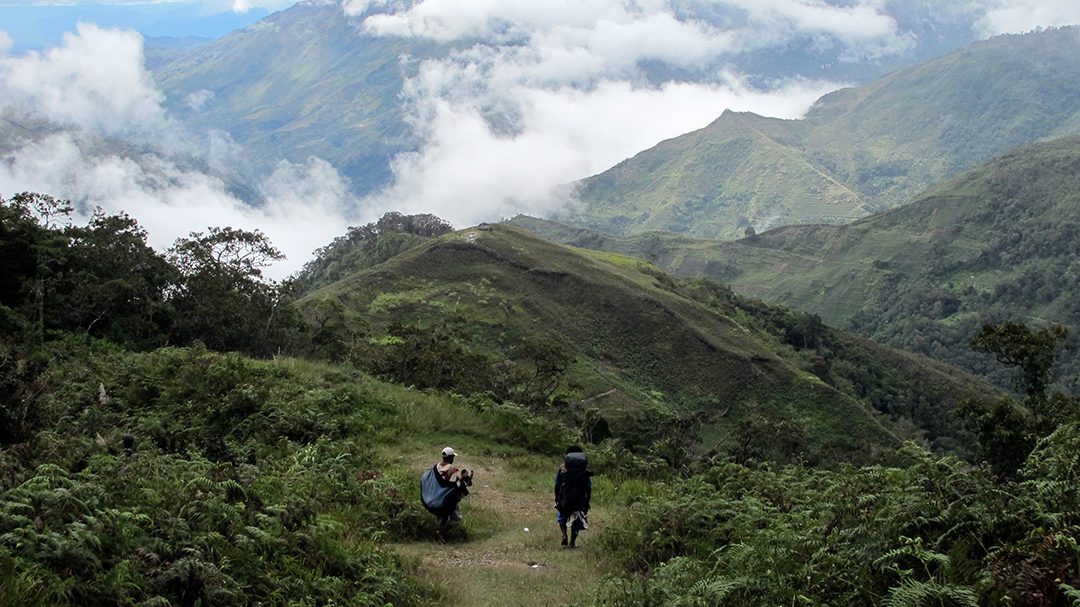 trans papua